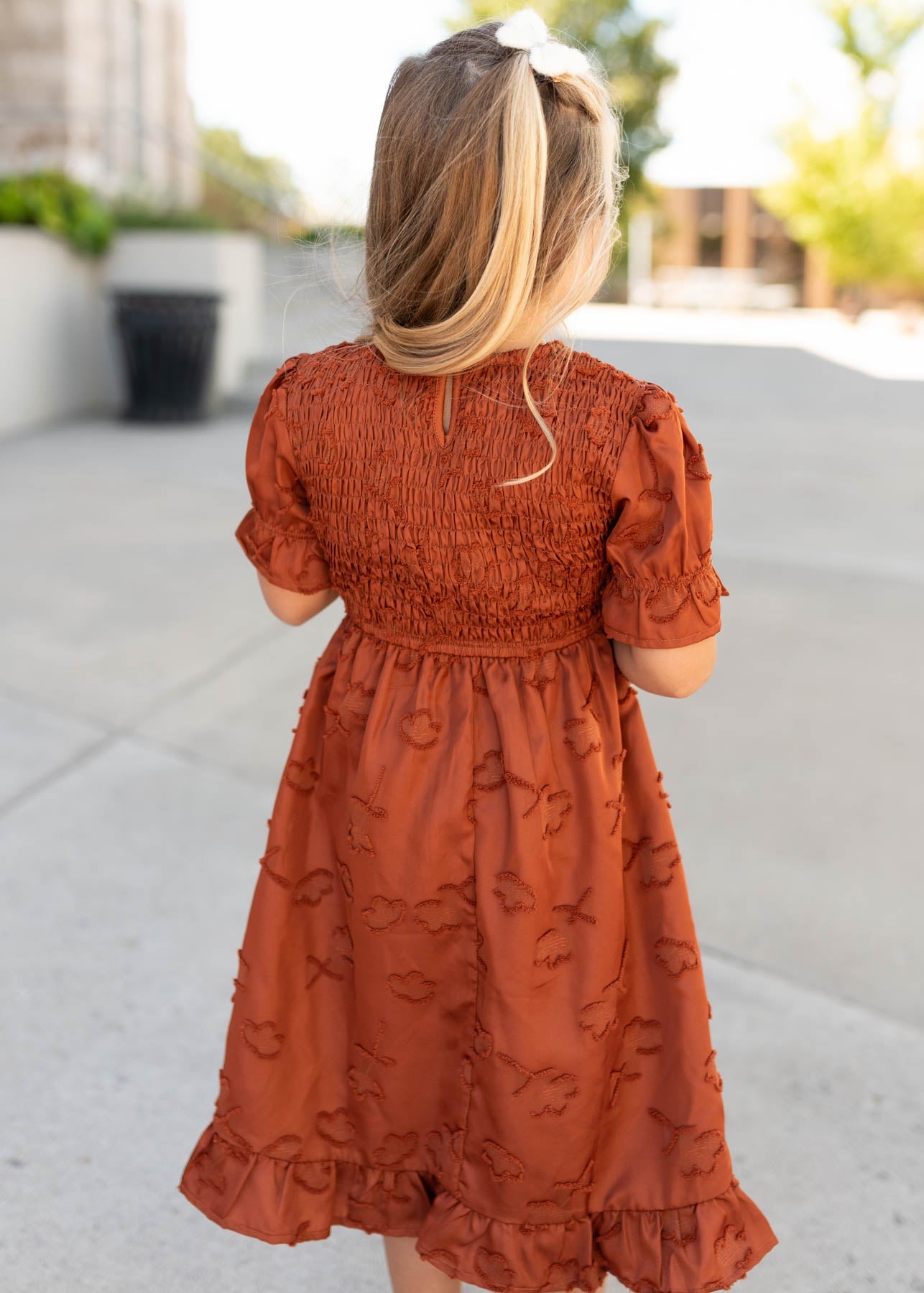 Aurelia Rust Smocked Little Girl Dress