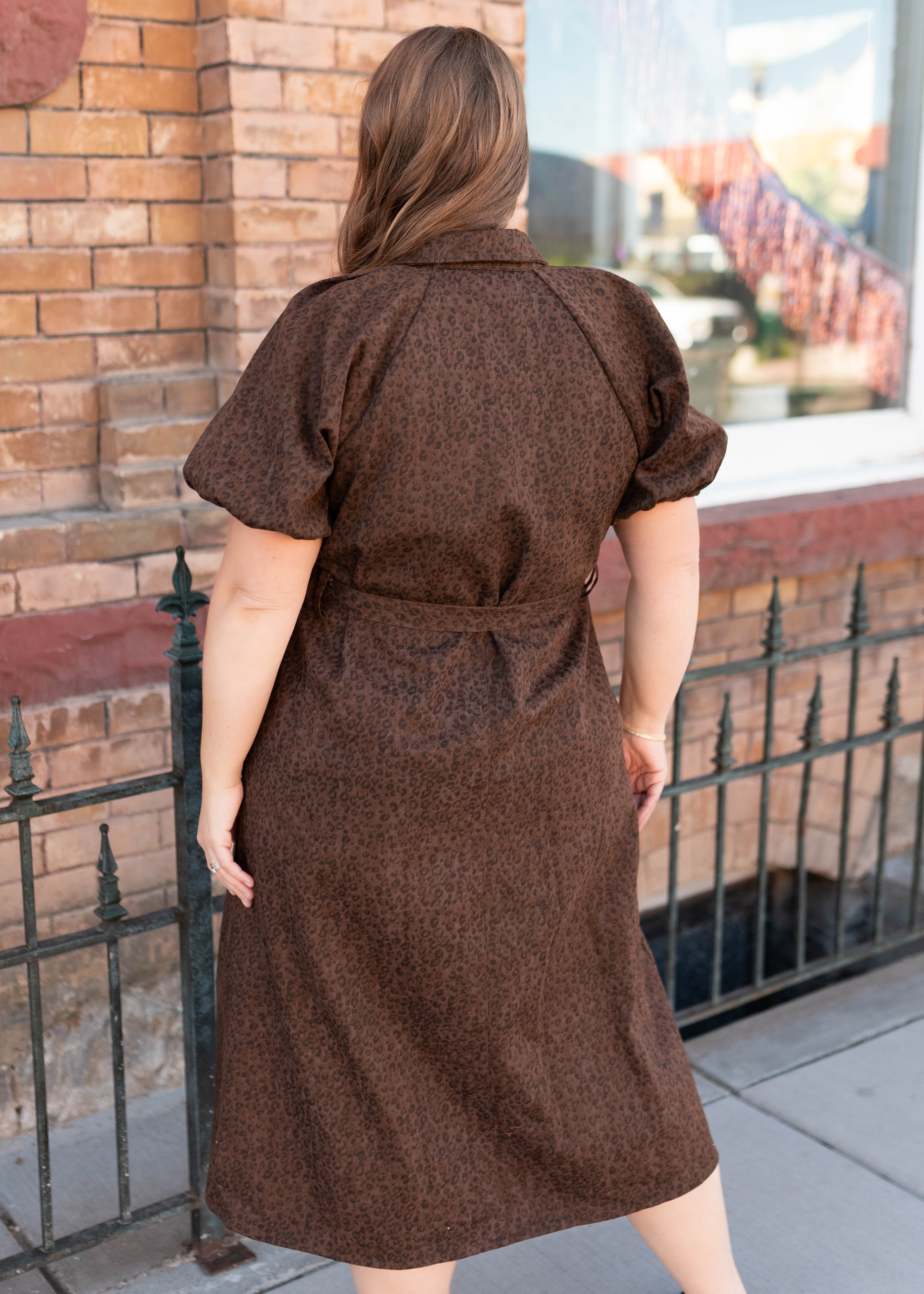 Bonnie Brown Leopard Dress
