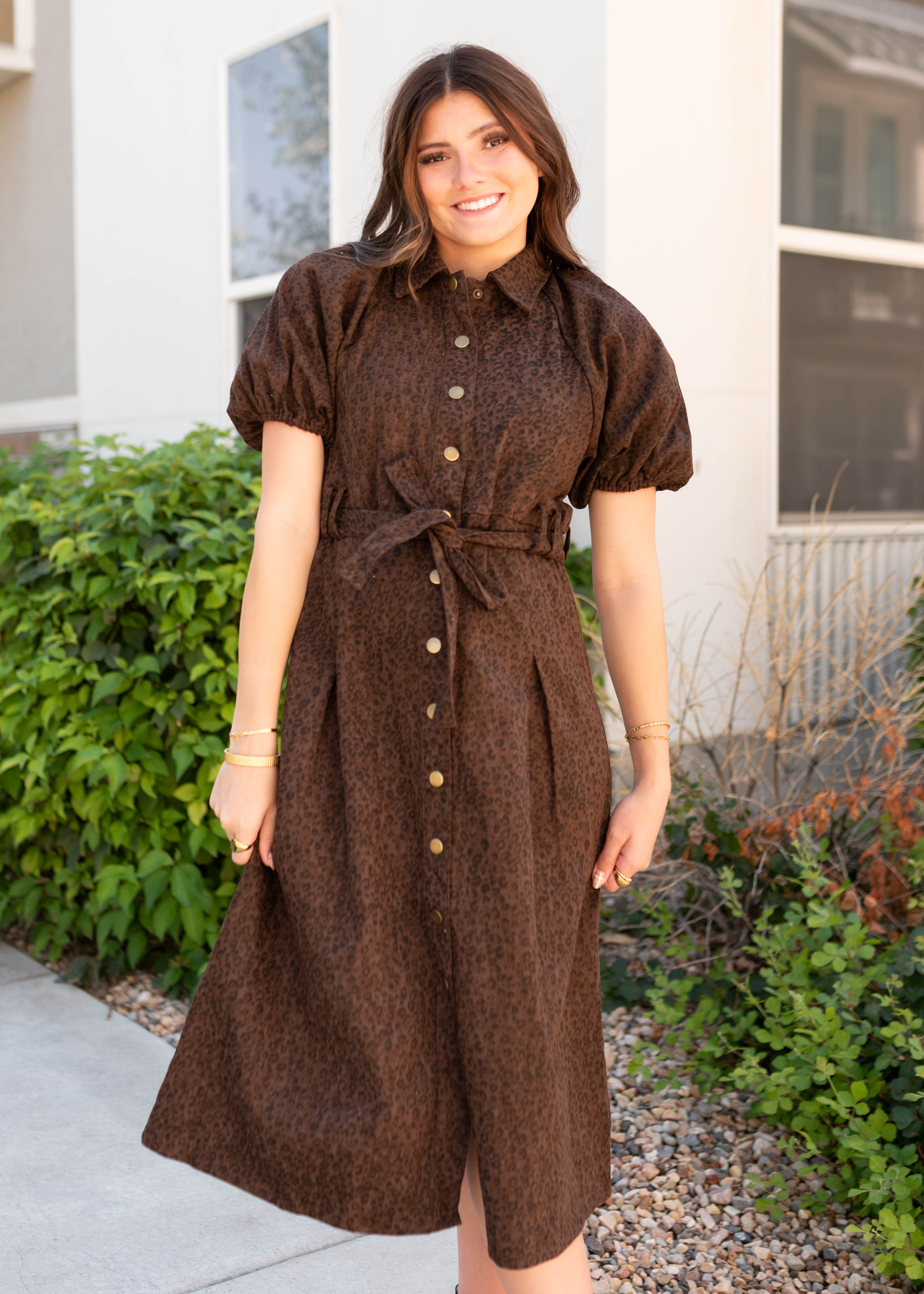 Bonnie Brown Leopard Dress