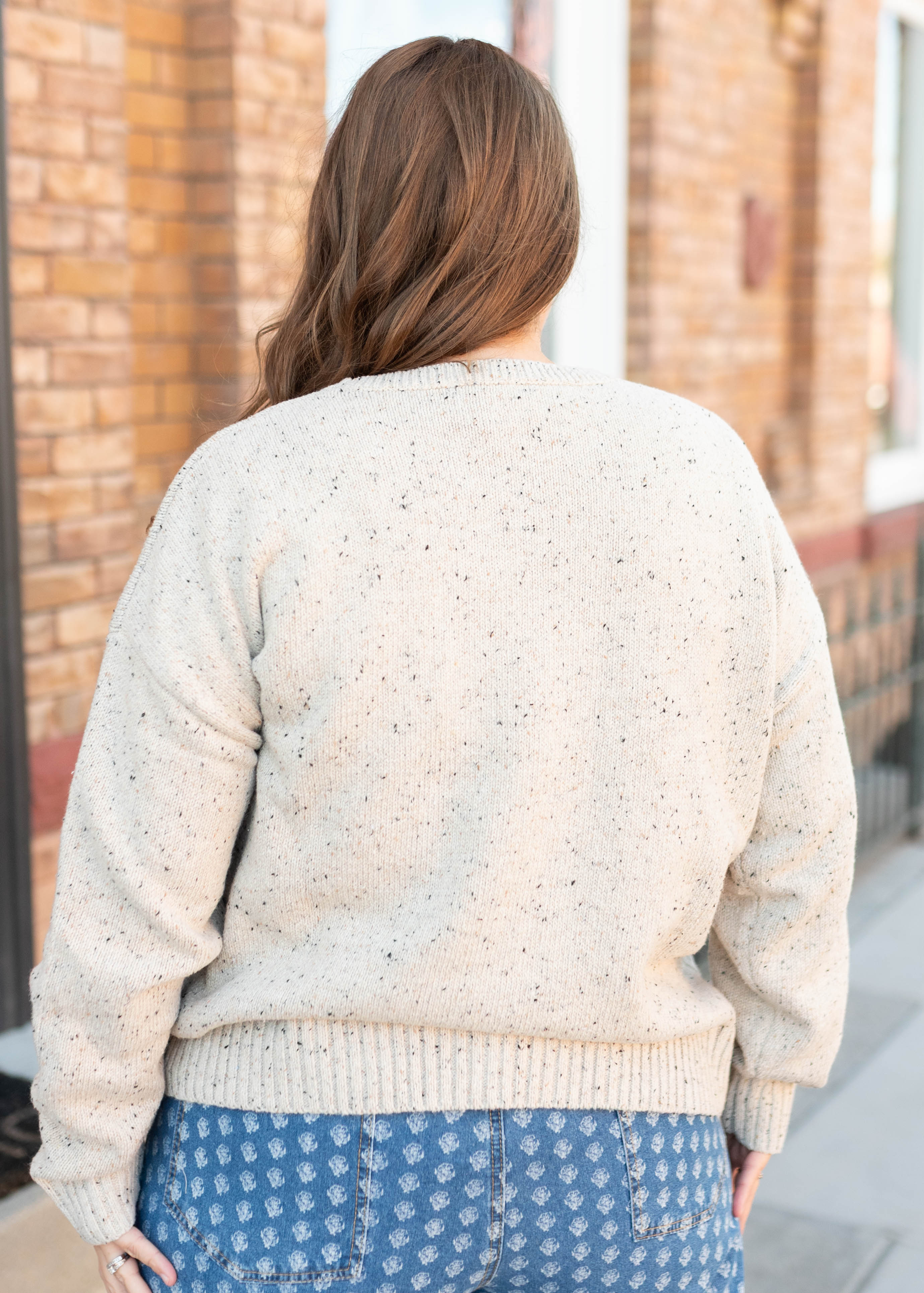 Spencer Speckled Taupe Knit Sweater