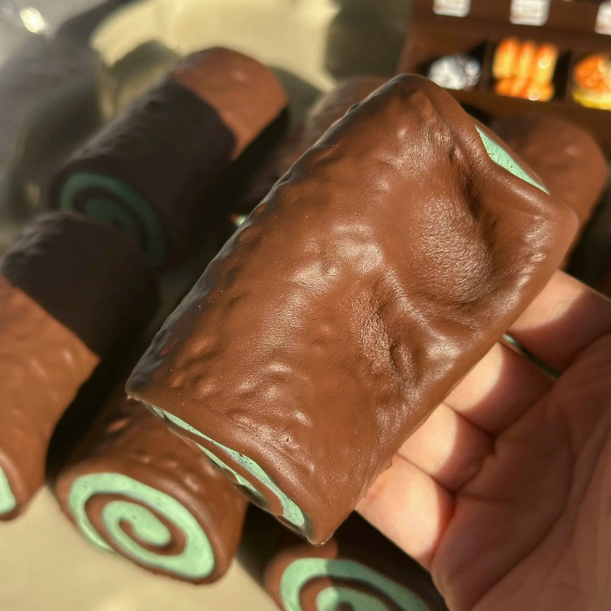 Choco Swirl Dream Squishy Toy